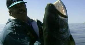Simply Fishing: MONSTER LAKE TROUT, WORLD RECORD LAKER