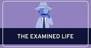 The Examined Life: Know Thyself #1 | WIRELESS PHILOSOPHY