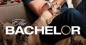The Bachelor: Season 26 Episode 6 2606
