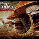 Biografia Infected Mushroom