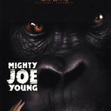 Biografia Joe Young