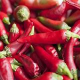 Biografia Red Hot Chilli Peppers