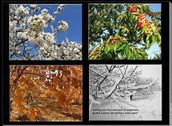 Image result for four seasons