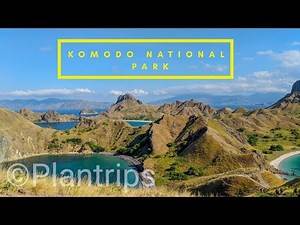 Komodo national park 4K