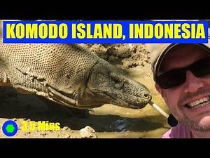 Komodo Island/Flores, INDONESIA: a 3.5 Minute Video