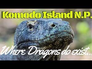 Real Life Dragons! Welcome to Komodo Island National Park