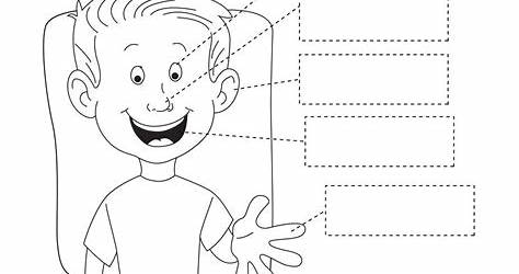 5 Senses Worksheets Kindergarten