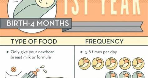 Feeding Chart For 6 Month Old Baby