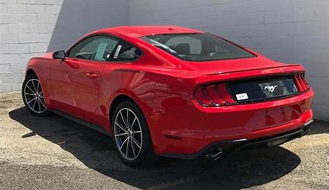 New 2019 Ford Mustang EcoBoost Premium 2D Coupe in Morton #161030