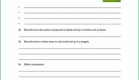 the water cycle worksheet answers pdf