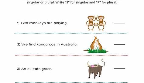 Identify Singular and Plural Nouns Printable Worksheets for Grade 1