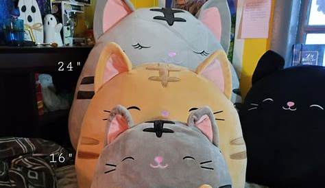 I took pictures to show people the size difference in squishmallows. I