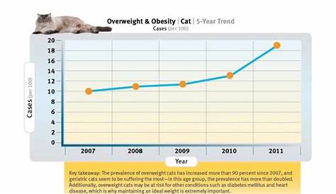 vet showing cat obesity chart