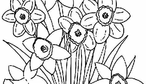 spring flowers coloring pages printable