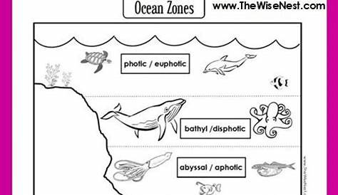 Ocean Zones, Apologia Science, American Heritage Girls, Ocean Unit