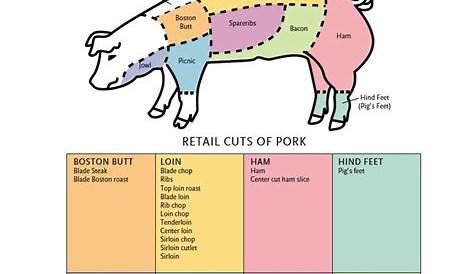 Wholesale Cuts of Pork | Meat Cut Charts | Pinterest | Pork