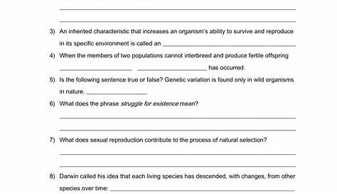 Types Of Evolution Worksheets