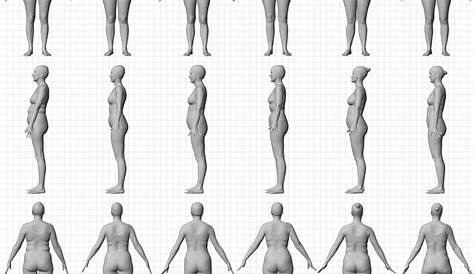 woman body type chart