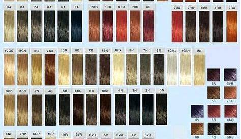 Aveda Color Swatches Swatch Book Chart Design Template | Hair color chart, Hair color swatches