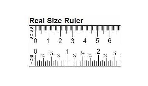 millimeter ruler Cheaper Than Retail Price> Buy Clothing, Accessories