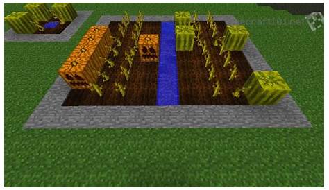 how to plant melons minecraft