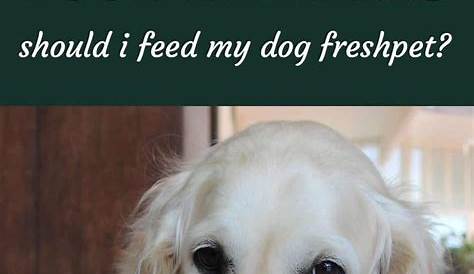 freshpet puppy feeding chart
