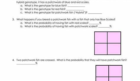 punnett square practice worksheet 1 answer key