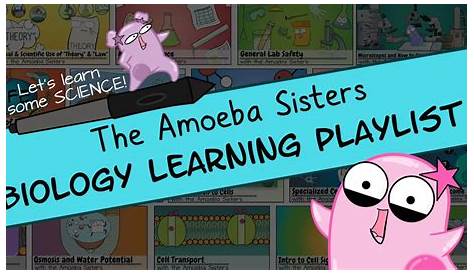 Amoeba Sisters Lab Safety Worksheet Answers - krkfm