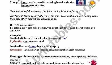 homonyms and homographs worksheet 2