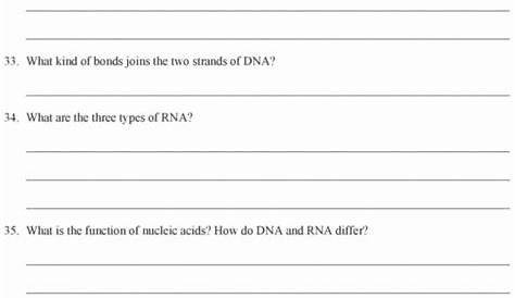 lipids worksheet answer key pdf