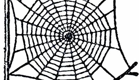 spider web printable free