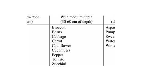 vegetable root depth chart