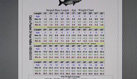 Split Shot Sizes Chart