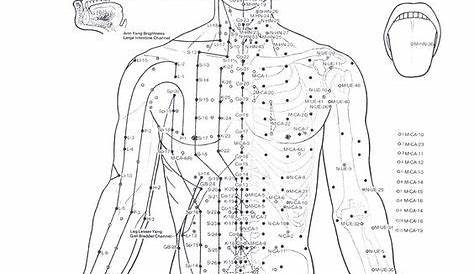 full body acupressure points chart pdf