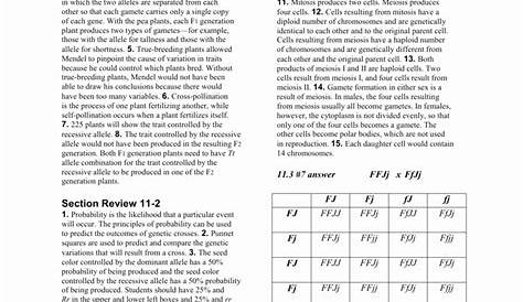 meiosis review worksheet answer key