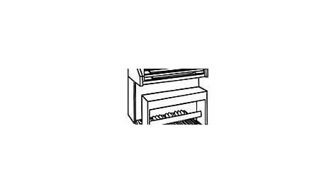 Organ Coloring Pages