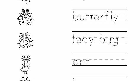 Trace the insect words - learning worksheets Insects