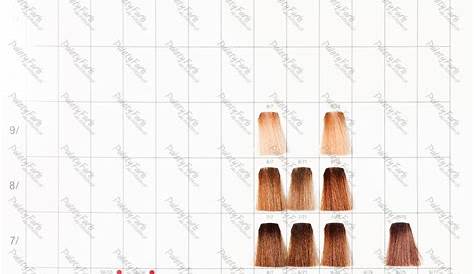 Pin on WELLA>> COLOR TOUCH