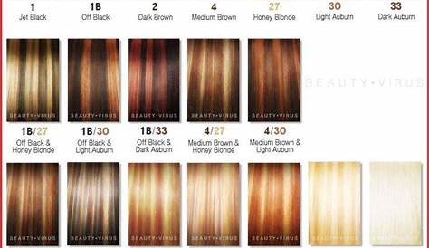ion brown hair color chart