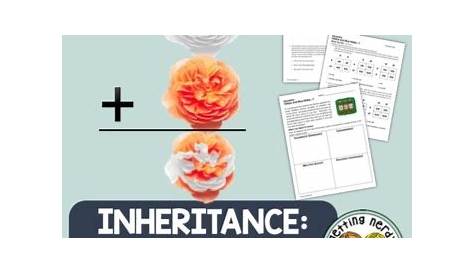 Non-Mendelian Inheritance by Getting Nerdy with Mel and Gerdy | TpT