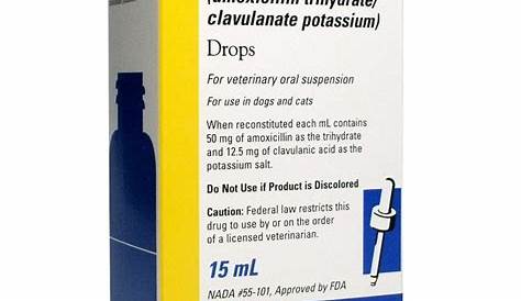 Clavamox for Cats: Dosage, Safety, and Side Effects