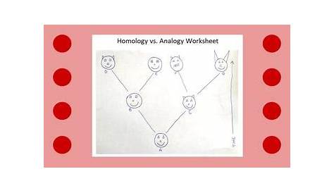 homologous structures worksheet