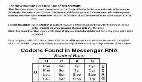 Dna Mutation Simulation Worksheet Answers - Printable Word Searches