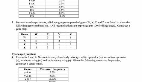 gene linkage worksheet