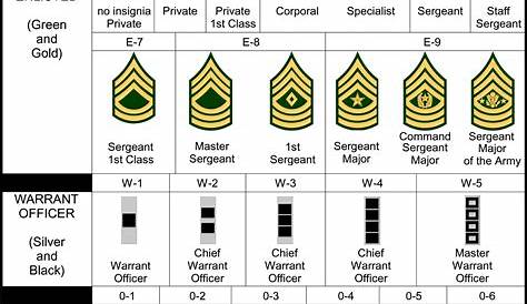 Armucation: Ranks and Organization