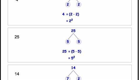 prime factorization worksheet grade 8