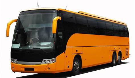 What Are the Different Types of Charter Bus Tours?