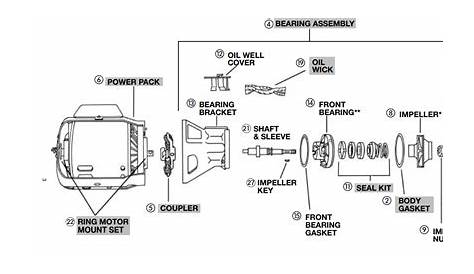 bell and gossett circulating pump manual