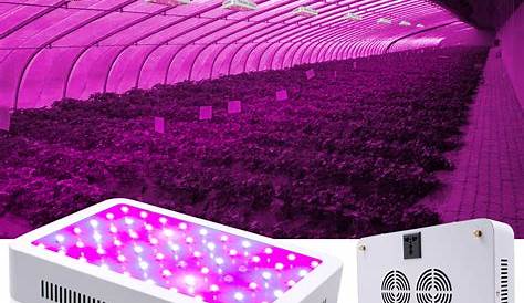 LED Grow Light Kits on Clearance, Newest 600W LED Full Spectrum Panel