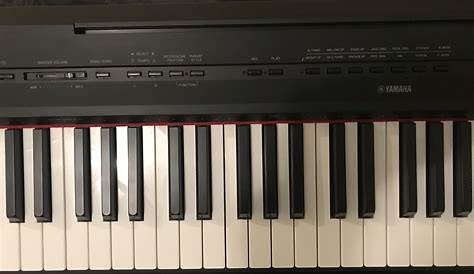 yamaha p 115 manual